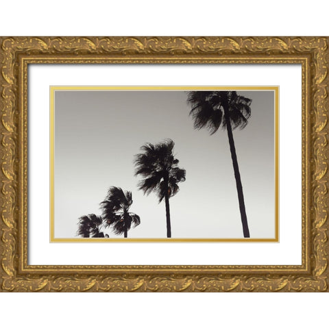 Palm_004 Gold Ornate Wood Framed Art Print with Double Matting by 1x Studio III