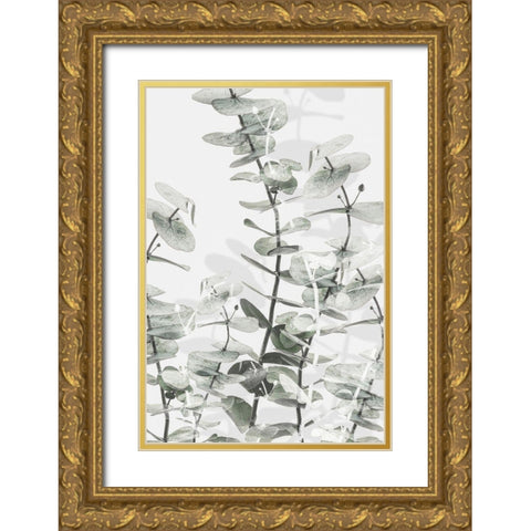 Eucalyptus_001 Gold Ornate Wood Framed Art Print with Double Matting by 1x Studio III