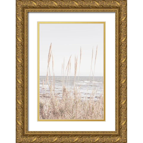 Beach_Vass_001 Gold Ornate Wood Framed Art Print with Double Matting by 1x Studio III