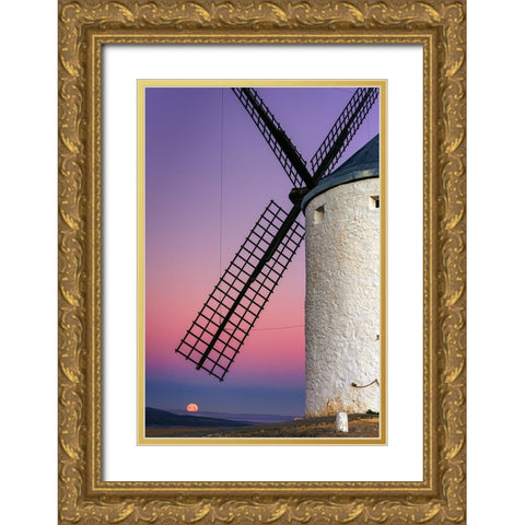 Don Quixotes Dream Gold Ornate Wood Framed Art Print with Double Matting by Crusat, Francisco