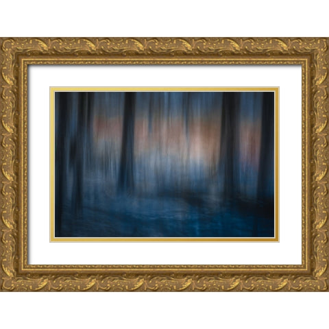 Look Deep Into Nature Gold Ornate Wood Framed Art Print with Double Matting by Bouhuijzen, Ina