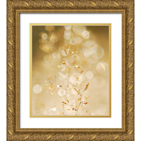 A bit closer 2/02 Gold Ornate Wood Framed Art Print with Double Matting by Limberg, Huib