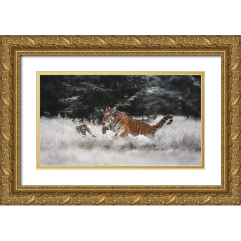Joy On The Snow Gold Ornate Wood Framed Art Print with Double Matting by Firesova, Michaela