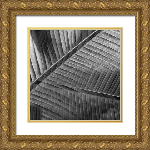 Banana lattice. Gold Ornate Wood Framed Art Print with Double Matting by Ciappara Lrps., Simon