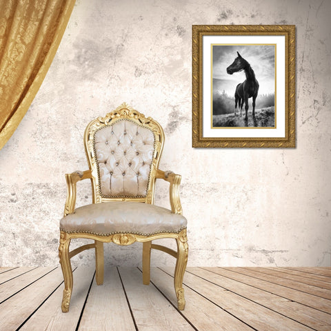 Backlight Horse Gold Ornate Wood Framed Art Print with Double Matting by Accordini, Alessandro