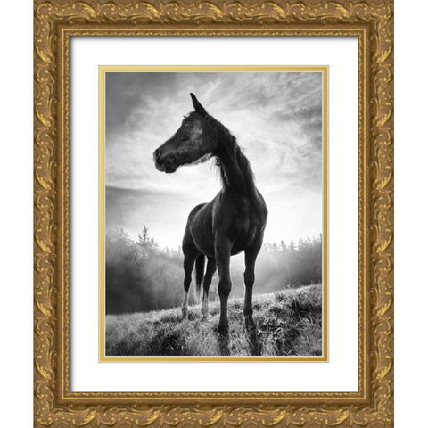 Backlight Horse Gold Ornate Wood Framed Art Print with Double Matting by Accordini, Alessandro
