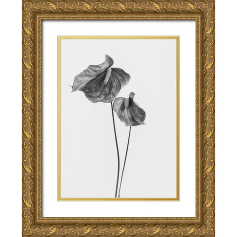 Anthurium Gold Ornate Wood Framed Art Print with Double Matting by Gronkjar, Lotte