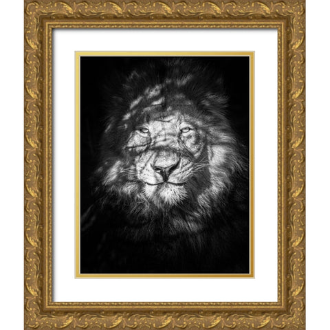 Being Watched Gold Ornate Wood Framed Art Print with Double Matting by Taylor, Mike
