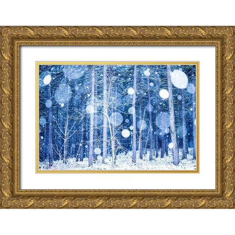 Snowscape Gold Ornate Wood Framed Art Print with Double Matting by Eisenmann, Ulrike