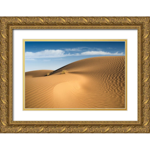 Curves Gold Ornate Wood Framed Art Print with Double Matting by Babaei, Hosein