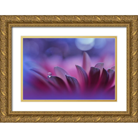 Blossoming Heart...II Gold Ornate Wood Framed Art Print with Double Matting by Nan, Juliana