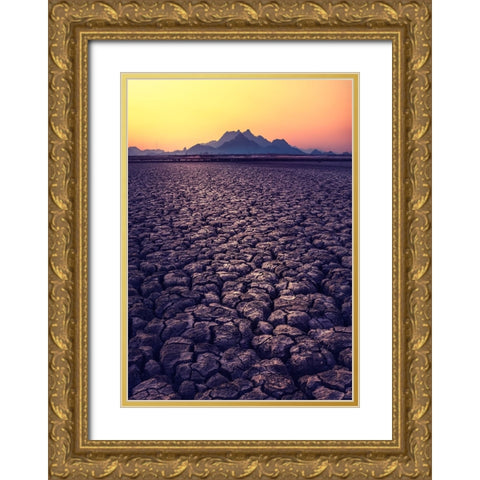 Thirst Gold Ornate Wood Framed Art Print with Double Matting by Seo, Tiger