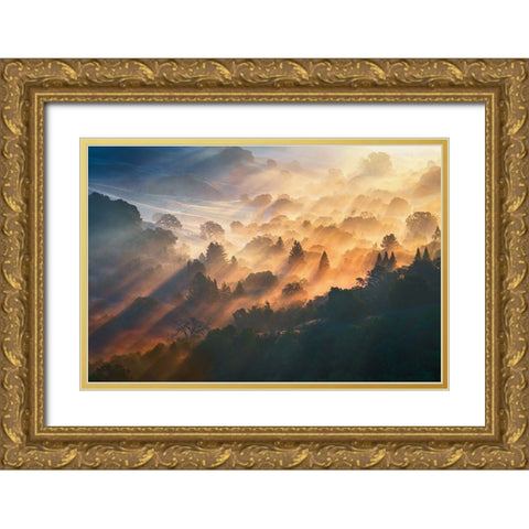 Morning Light Gold Ornate Wood Framed Art Print with Double Matting by Li, Ryan