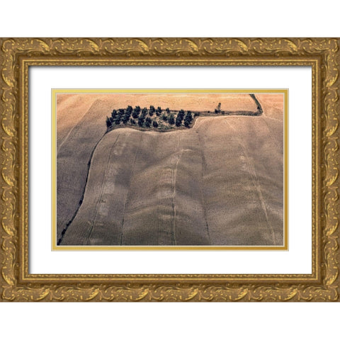 Oasis Gold Ornate Wood Framed Art Print with Double Matting by Kravanja, Jure