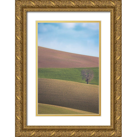 S.T. 025 Gold Ornate Wood Framed Art Print with Double Matting by Gray, Dorian