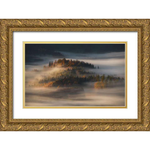 Autumn Gold Ornate Wood Framed Art Print with Double Matting by Rojek, Tomasz