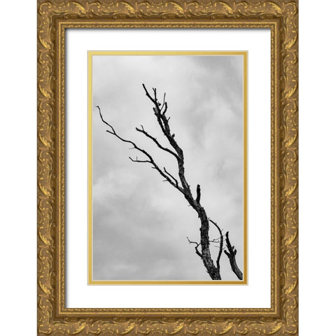 Im not leaving without a fight Gold Ornate Wood Framed Art Print with Double Matting by Wallenstein, Nicolau