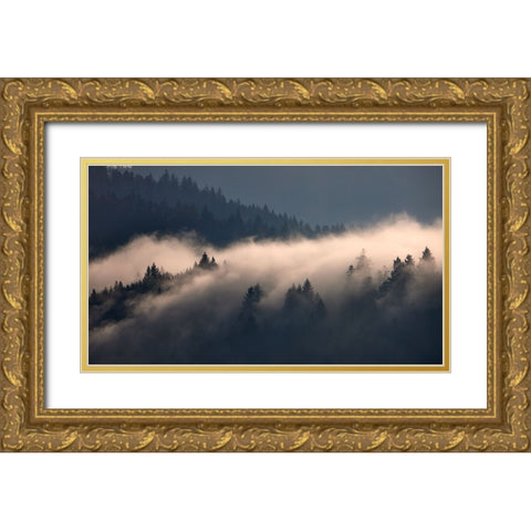 Black Forest II Gold Ornate Wood Framed Art Print with Double Matting by Schade, Peter