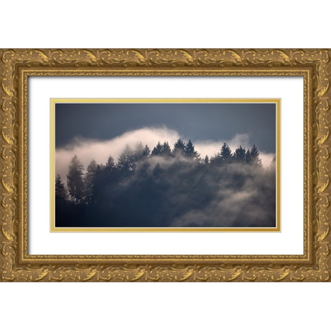 Black Forest I Gold Ornate Wood Framed Art Print with Double Matting by Schade, Peter