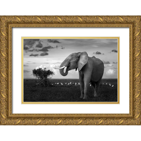 Beautiful Elephant Gold Ornate Wood Framed Art Print with Double Matting by Sobhi, Ahmed