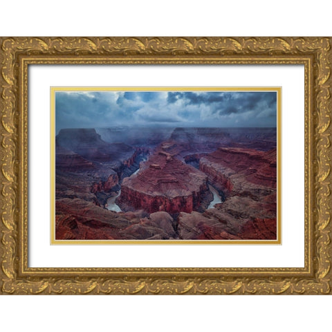 Amidst A Snowstorm Gold Ornate Wood Framed Art Print with Double Matting by Zheng, Michael