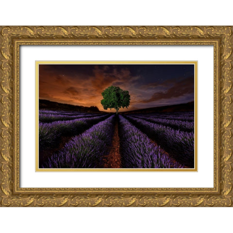 Untitled Gold Ornate Wood Framed Art Print with Double Matting by Vega Toledano, Cesar