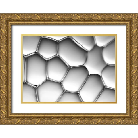 abyss Gold Ornate Wood Framed Art Print with Double Matting by Chen, Siyang