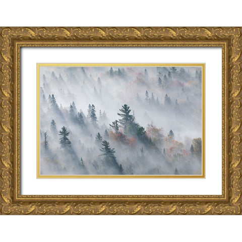 The Fog of Silence, The Fog of Illusion Gold Ornate Wood Framed Art Print with Double Matting by Zhao, Jennifer