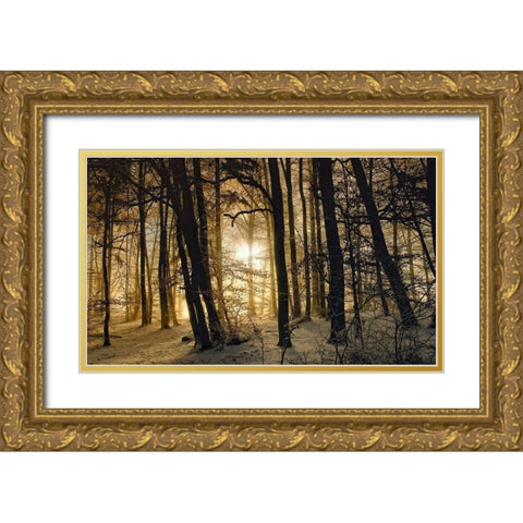 Winter Morning Gold Ornate Wood Framed Art Print with Double Matting by Maier, Norbert