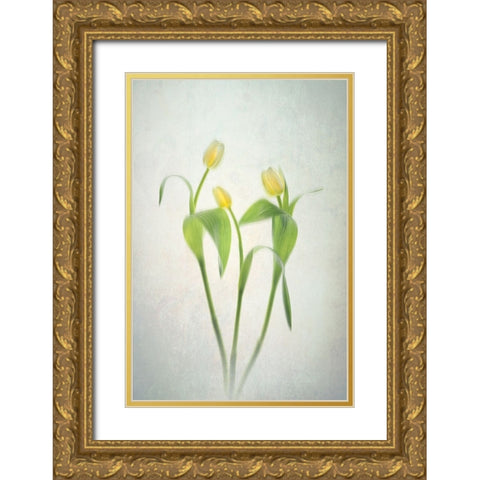 Yellow Tulips Gold Ornate Wood Framed Art Print with Double Matting by Jacobs, Lydia