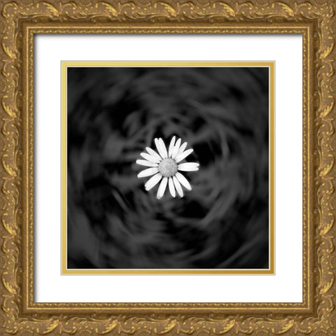 Alpine meadow discovery Gold Ornate Wood Framed Art Print with Double Matting by Winkler, Jens