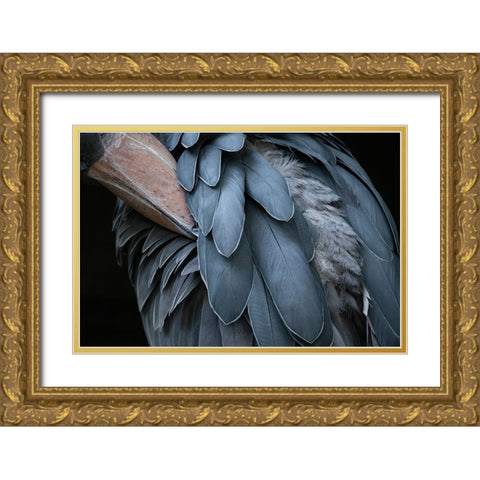 Feather Gold Ornate Wood Framed Art Print with Double Matting by Aoki, Juri