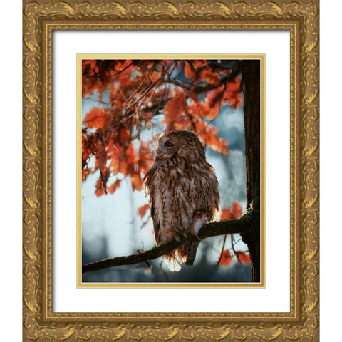 Resting owl with prey Gold Ornate Wood Framed Art Print with Double Matting by Firesova, Michaela