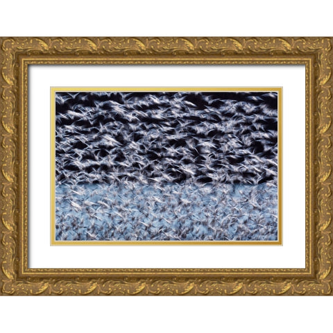 To the Arctic Gold Ornate Wood Framed Art Print with Double Matting by Guo, Liwen