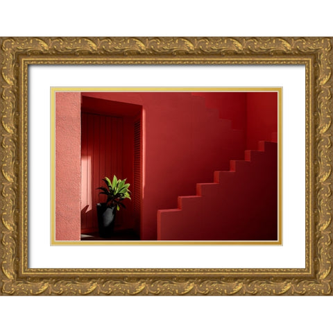 Muralla Roja #6 Gold Ornate Wood Framed Art Print with Double Matting by Wride, Linda