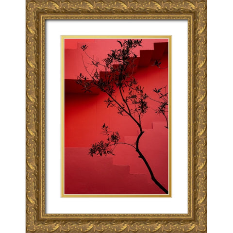 Muralla Roja #14 Gold Ornate Wood Framed Art Print with Double Matting by Wride, Linda