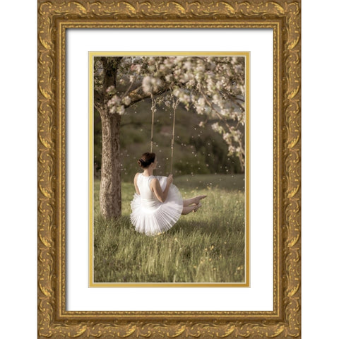 Cherry Tree Swing Gold Ornate Wood Framed Art Print with Double Matting by Graf, James
