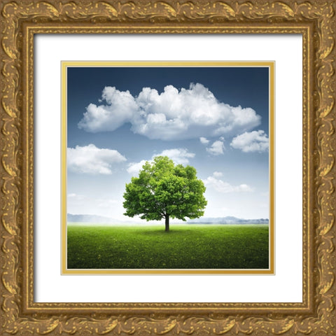 Lone tree Gold Ornate Wood Framed Art Print with Double Matting by Hamiti, Bess