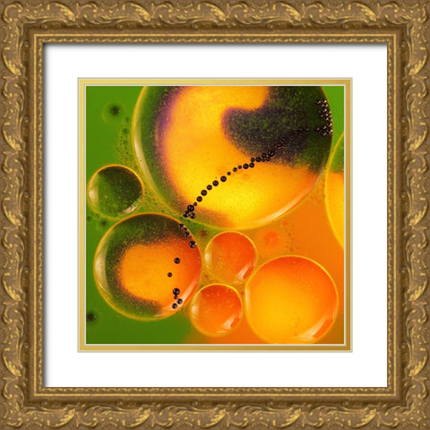 Spring dream Gold Ornate Wood Framed Art Print with Double Matting by Bosogea-Tudor, Ileana