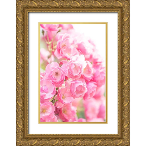Rose Gold Ornate Wood Framed Art Print with Double Matting by Kazumasa, Kondou