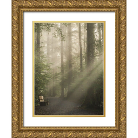Untitled Gold Ornate Wood Framed Art Print with Double Matting by Saito, Misaki