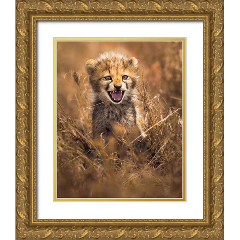 Big Smile Gold Ornate Wood Framed Art Print with Double Matting by Sobhi, Ahmed