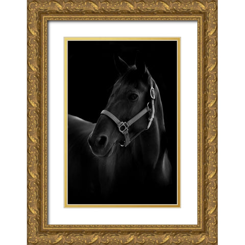 Horse Gold Ornate Wood Framed Art Print with Double Matting by T, Yuya