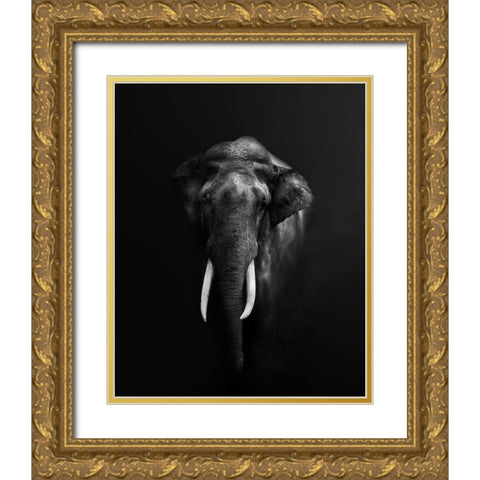 Elephant Portrait Gold Ornate Wood Framed Art Print with Double Matting by Guha, Jayanta
