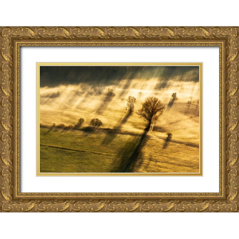 Spirito inquieto Gold Ornate Wood Framed Art Print with Double Matting by Pietro, Biffi