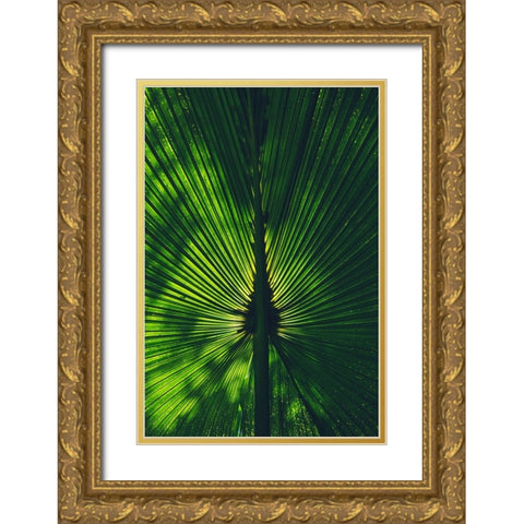Background lighted palm tree leaf Gold Ornate Wood Framed Art Print with Double Matting by Alcantara, Miguel