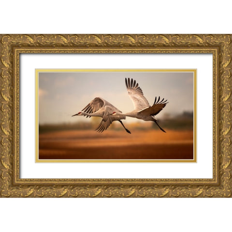 Flying over Gold Ornate Wood Framed Art Print with Double Matting by Zhang, Joan
