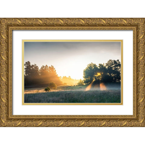 Summer field with sunrays Gold Ornate Wood Framed Art Print with Double Matting by Lindsten, Christian