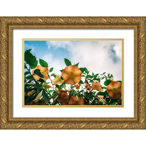 The flower Gold Ornate Wood Framed Art Print with Double Matting by Danielraphotos