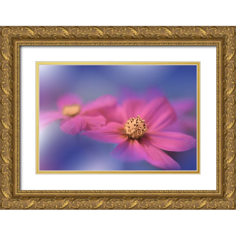 A Colorful World.. Gold Ornate Wood Framed Art Print with Double Matting by Nan, Juliana